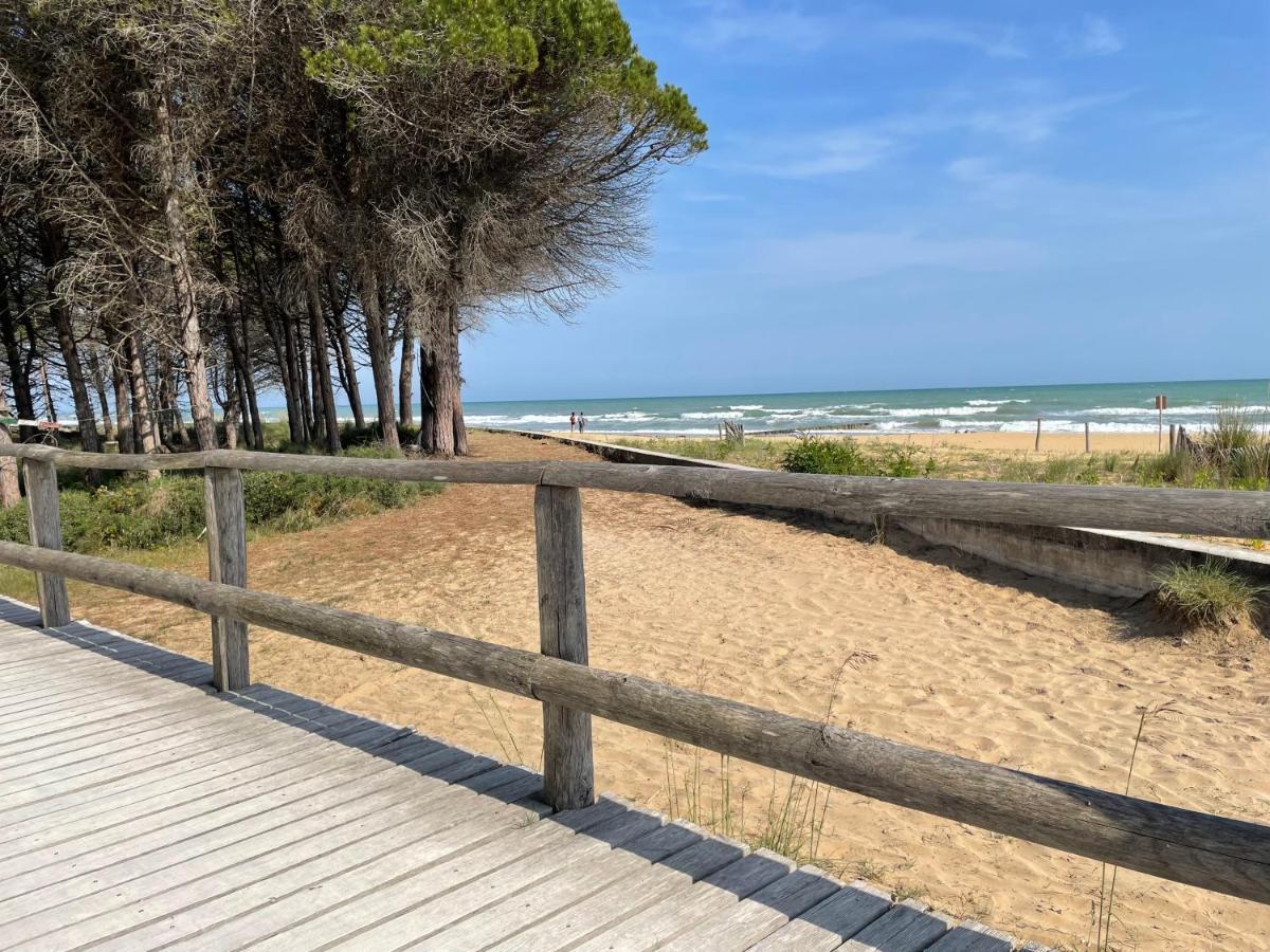 ביביונה Malibu Apartments מראה חיצוני תמונה